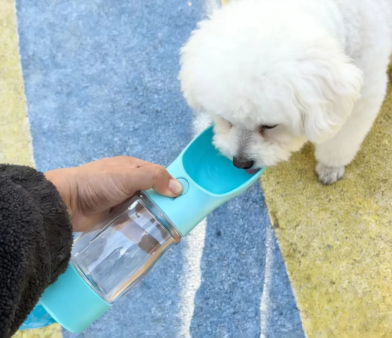 PawPack Bottle - 3 in 1 dog water bottle