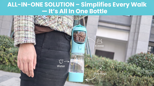 PawPack Bottle - 3 in 1 dog water bottle